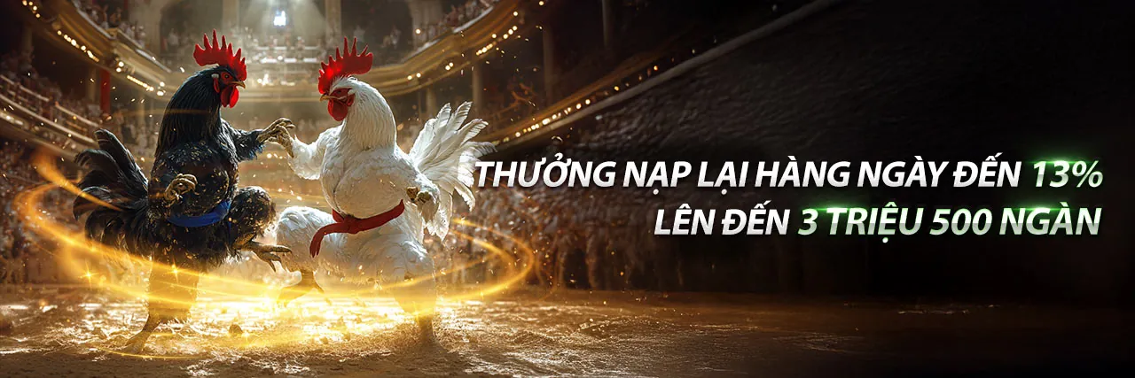 Sân chơi đá gà trực tuyến RR88BET trang chủ chính thức 2026