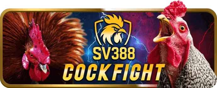 Hỗ trợ khách hàng rr88bet
