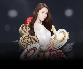 Mục đích sử dụng dữ liệu của rr88bet